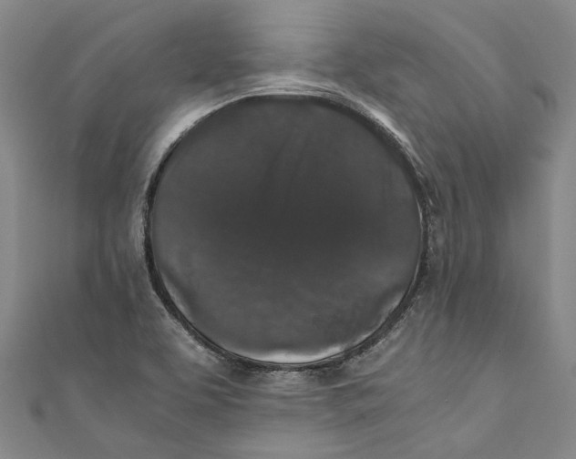 X0000110691463200907101138