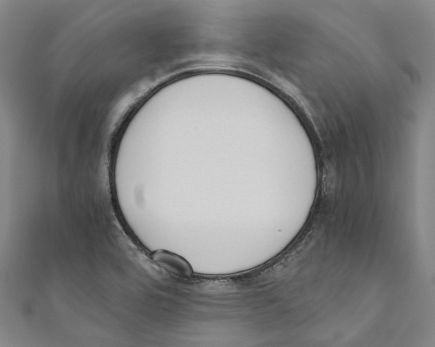 X0000110691464200907101138