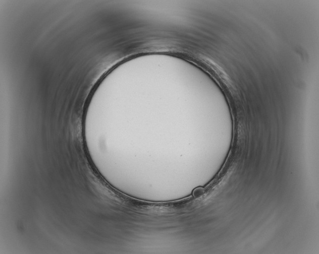 X0000110691465200907101138