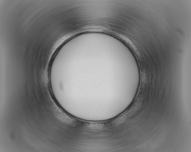 X0000110691466200907101138