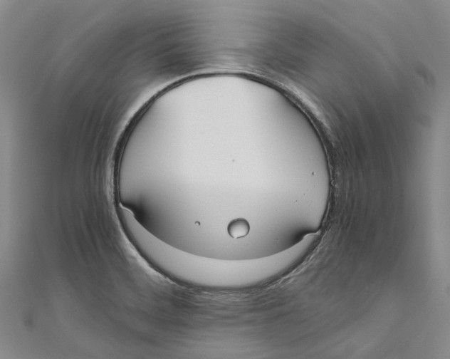 X0000110691468200907101138