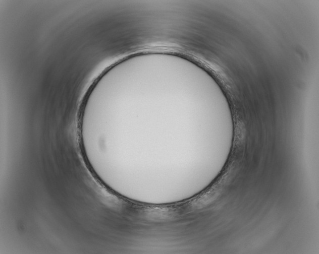 X0000110691470200907101138