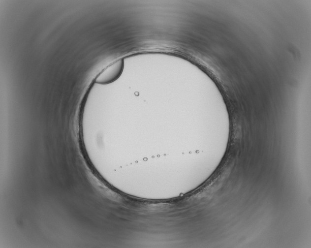 X0000110691471200907101138