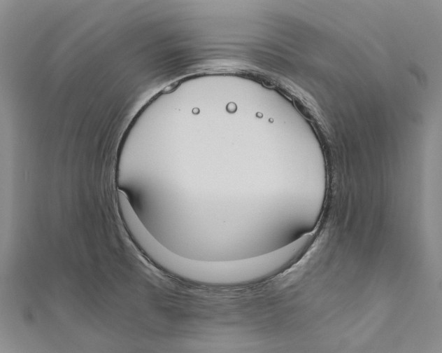 X0000110691473200907101138