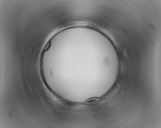 X0000110691475200907101138