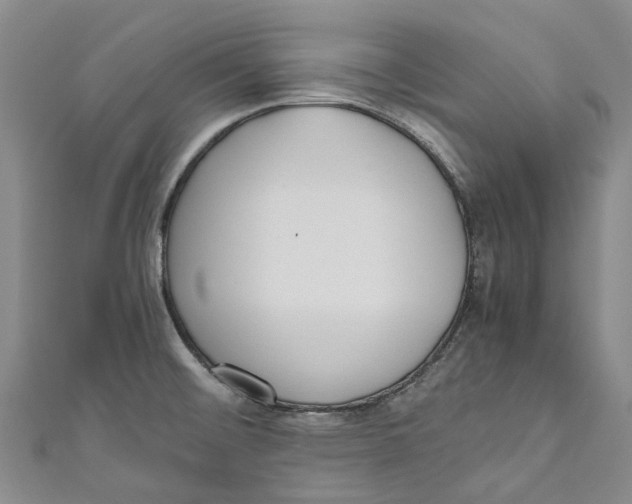 X0000110691476200907101138