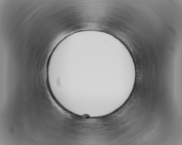 X0000110691479200907101138