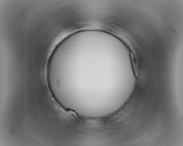 X0000110691480200907101138