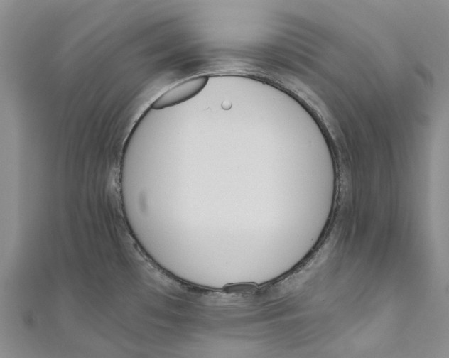 X0000110691481200907101138