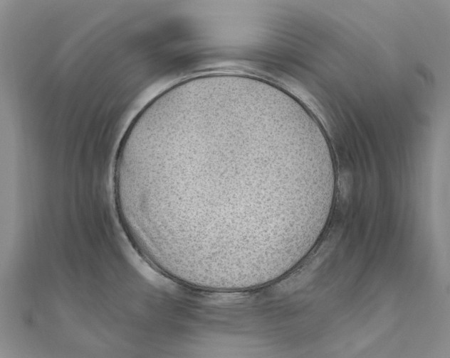 X0000110691482200907101138