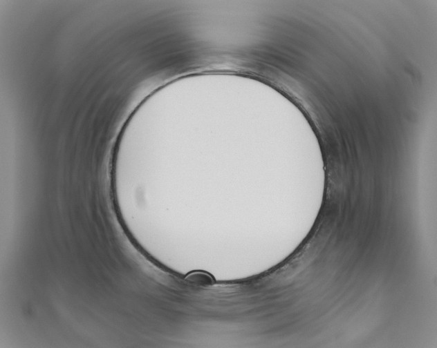 X0000110691483200907101138