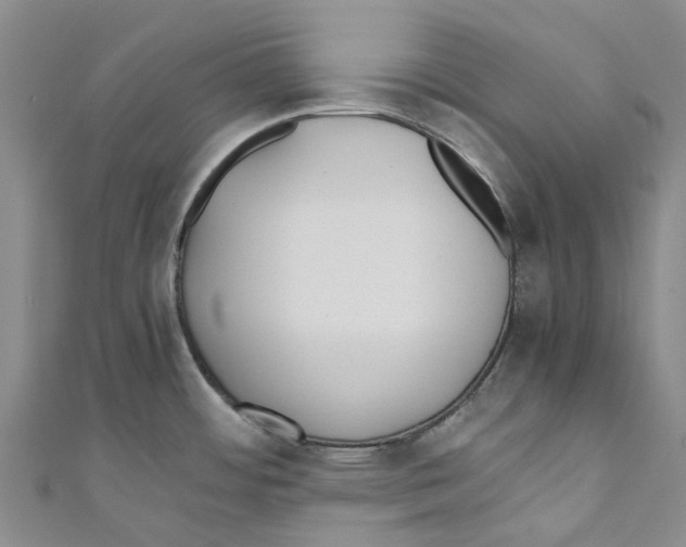 X0000110691484200907101138