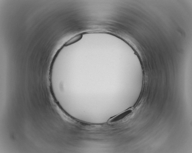 X0000110691485200907101138