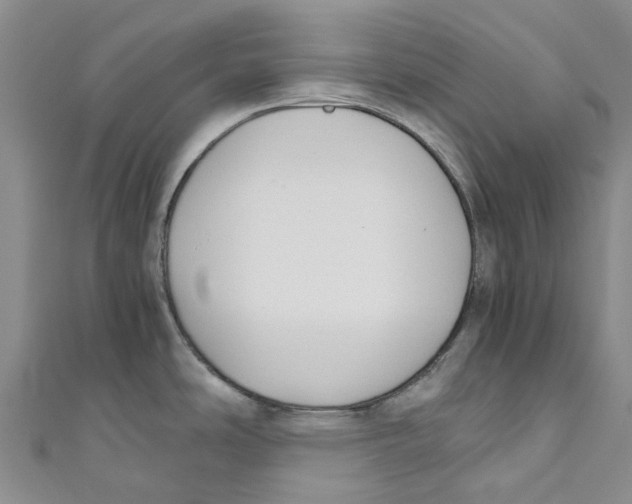 X0000110691486200907101138