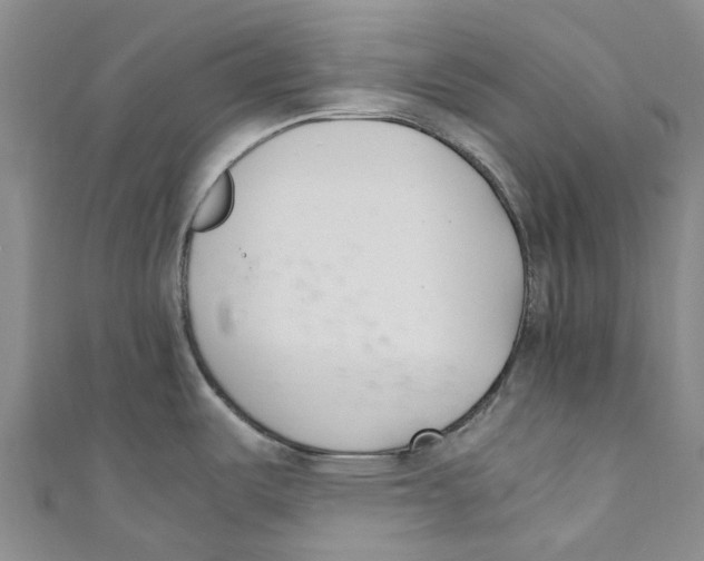 X0000110691487200907101138