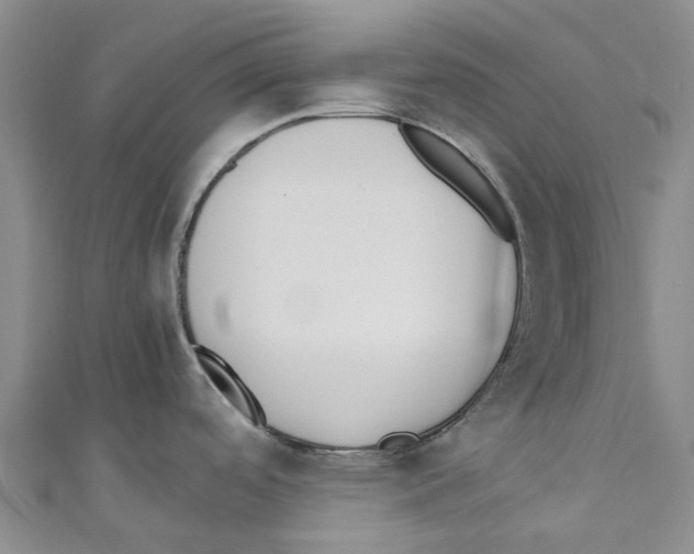 X0000110691488200907101138