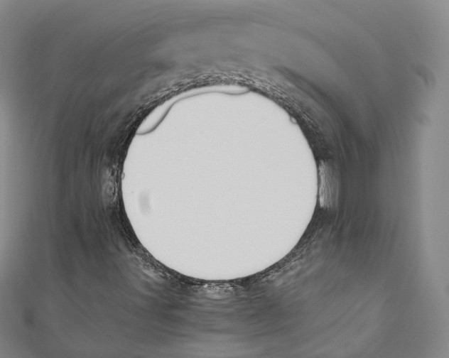 X0000110691491200907101137