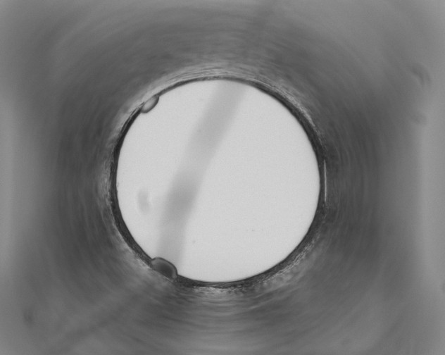 X0000110691500200907101137