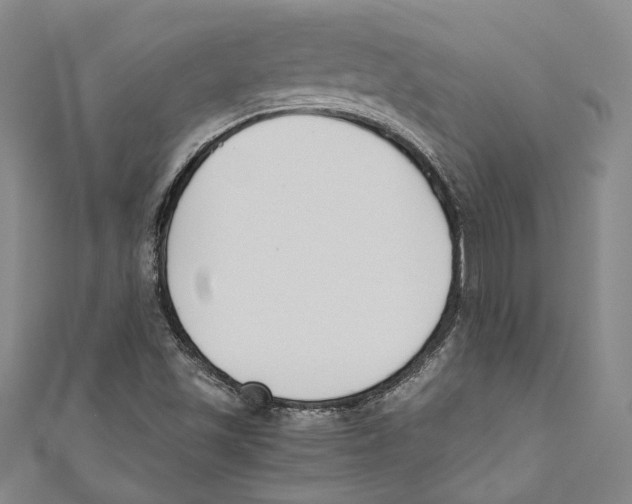 X0000110691501200907101137