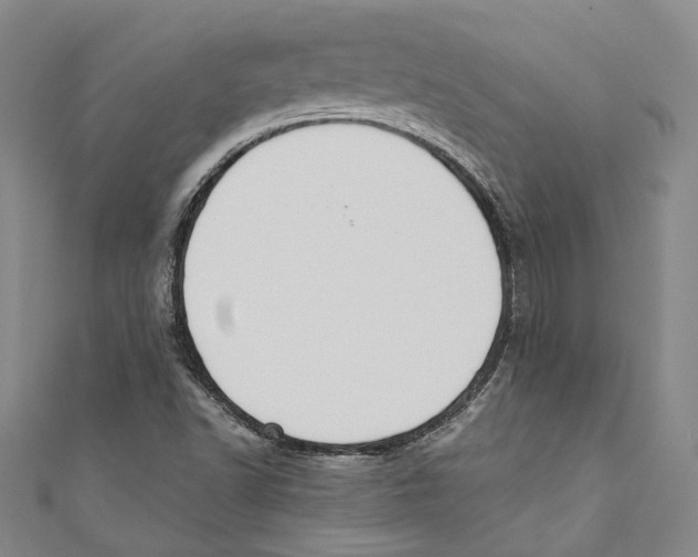 X0000110691502200907101137