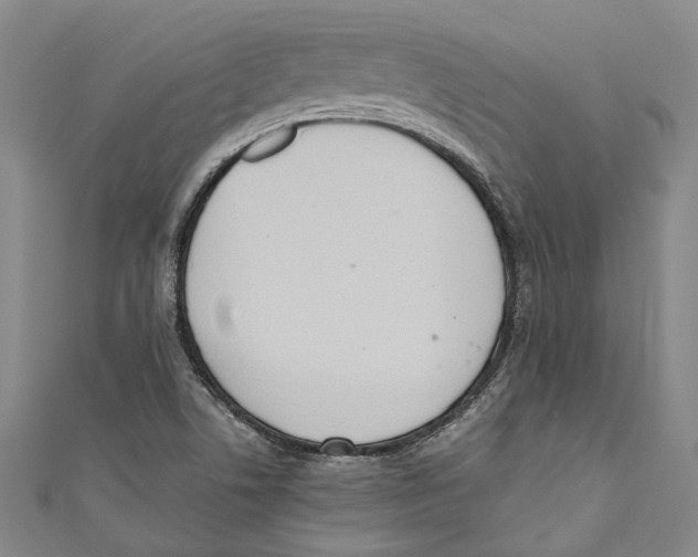 X0000110691506200907101137