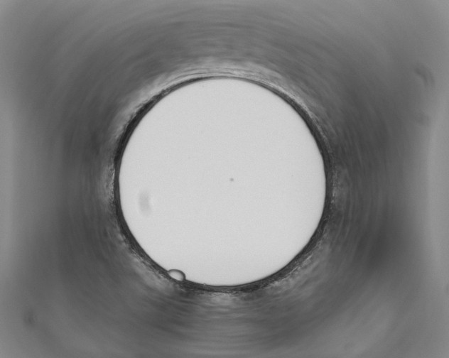 X0000110691507200907101137