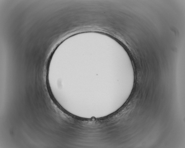 X0000110691508200907101137