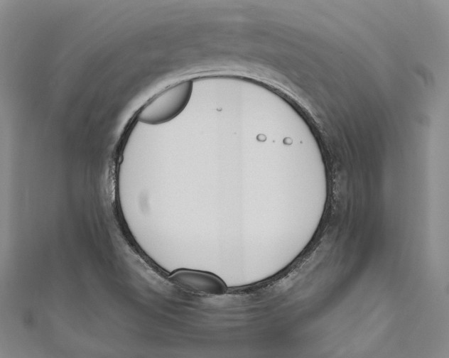 X0000110691510200907101137