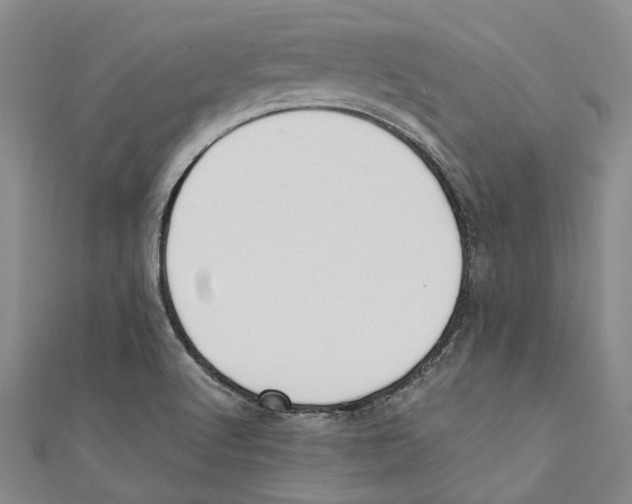 X0000110691512200907101137