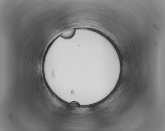 X0000110691513200907101137