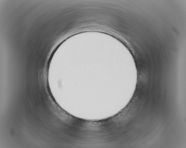 X0000110691514200907101137