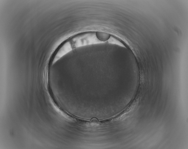 X0000110691515200907101137