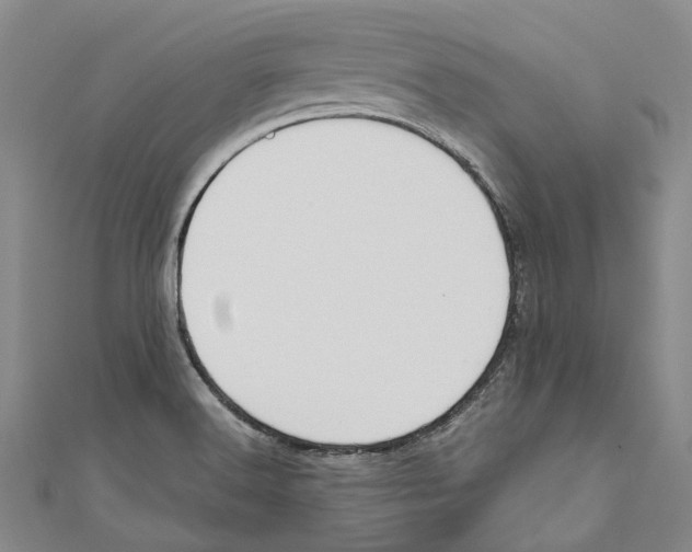 X0000110691516200907101137