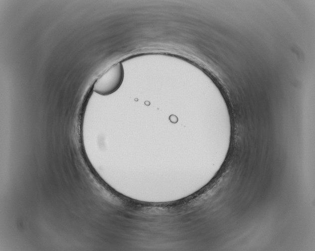 X0000110691517200907101137