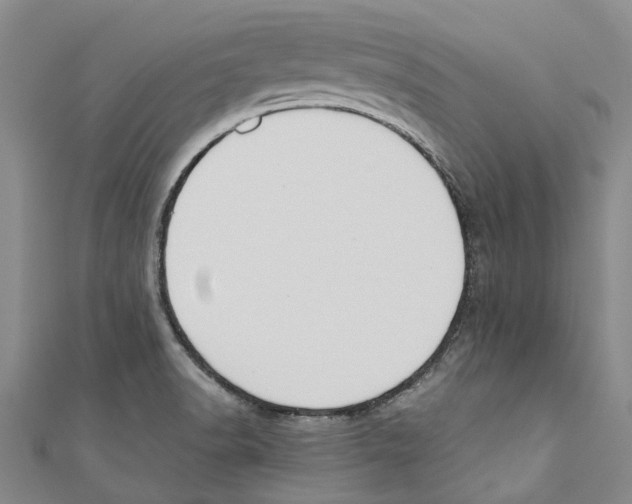 X0000110691518200907101137