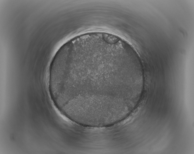 X0000110691519200907101137