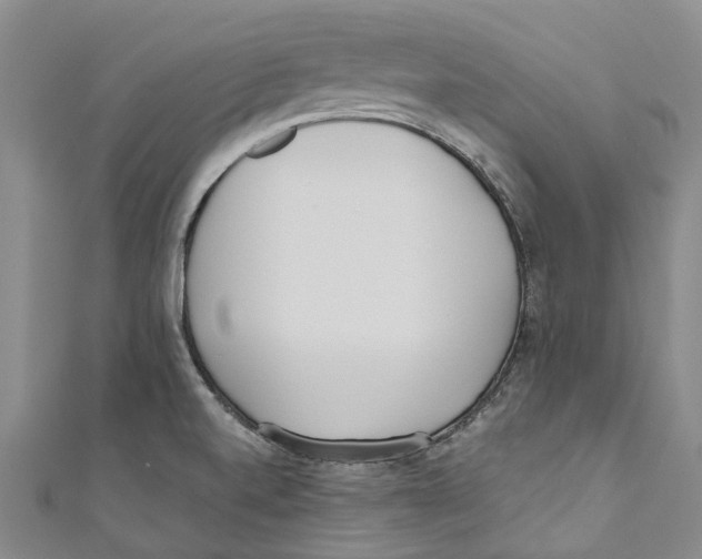 X0000110691520200907101137