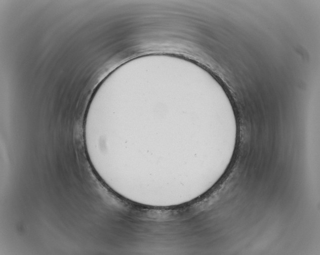 X0000110691521200907101138