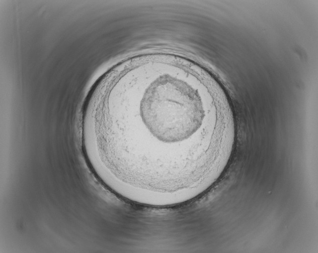 X0000110691522200907101138