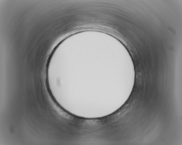 X0000110691523200907101138