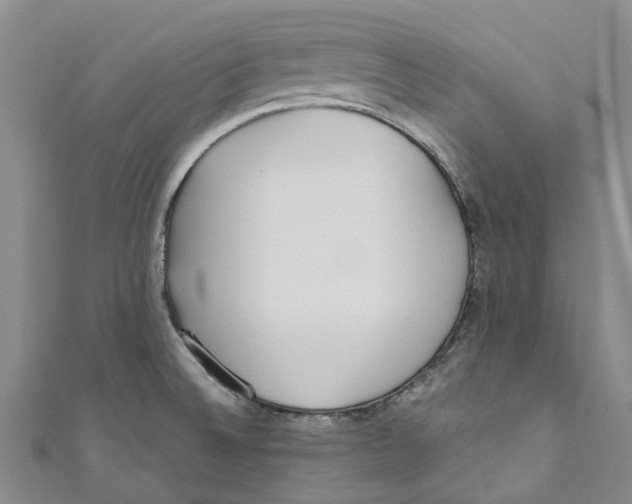 X0000110691524200907101138