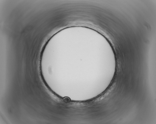 X0000110691525200907101138