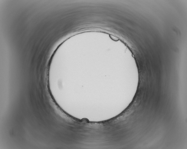 X0000110691526200907101138