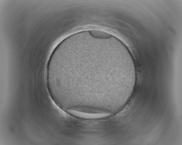 X0000110691527200907101138