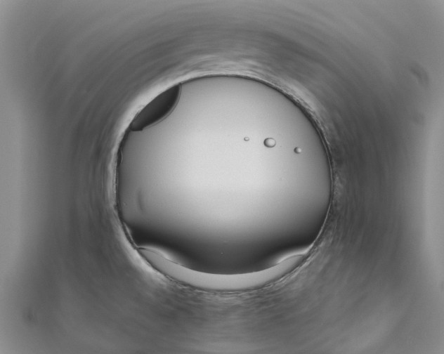 X0000110691528200907101138