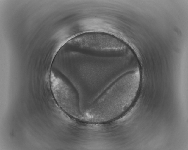 X0000110691529200907101138