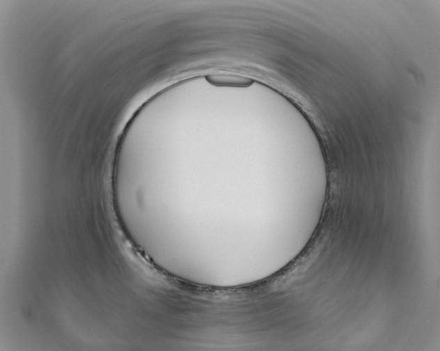 X0000110691530200907101138