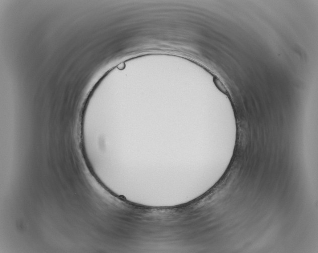 X0000110691531200907101138