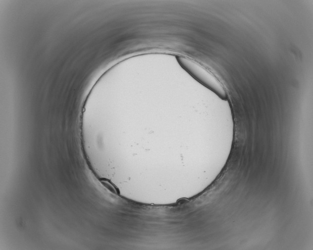 X0000110691532200907101138