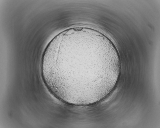 X0000110691533200907101138